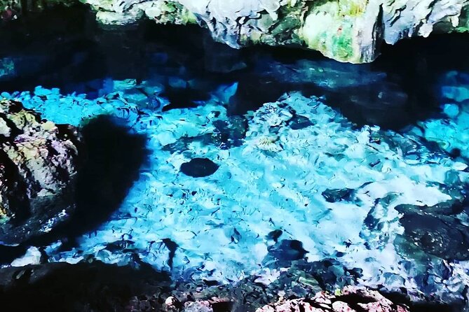 Kuza Cave, Blue Lagoon, Starfish Adventure, The Rock, Stone Town, Secret Garden - Swimming inside Kuza Cave in Jambiani