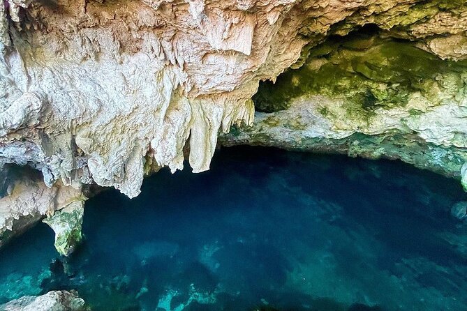 Kuza Cave, Monkey Tour, Secret Garden, Prison Island, Salaam Cave - Jozani Chwaka Bay offers Zanzibar wildlife