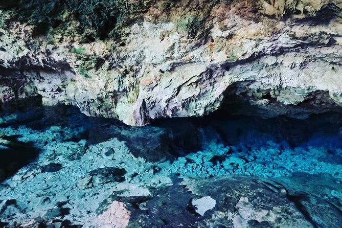 Kuza Cave, Monkey Tour, Secret Garden, Prison Island, Salaam Cave - Transport, timing, and comfort
