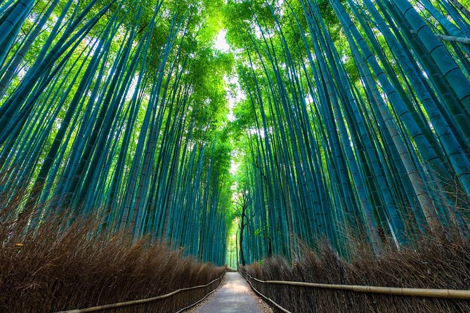 Kyoto Arashiyama Bamboo forest & Garden Half-Day Walking Tour - Starting at Saga-Arashiyama Station