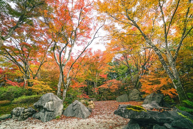 Kyoto Arashiyama Bamboo forest & Garden Half-Day Walking Tour - Okochi Sanso Garden and the matcha pause