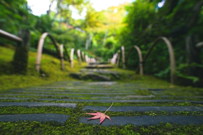 Kyoto Arashiyama Bamboo forest & Garden Half-Day Walking Tour - Tenryuji Temple and Zen garden teaching