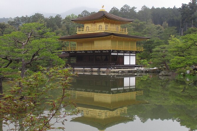 Kyoto ITALIAN GUIDE Golden Pagoda Bamboo Forest Dry Garden - What this Kyoto morning actually covers