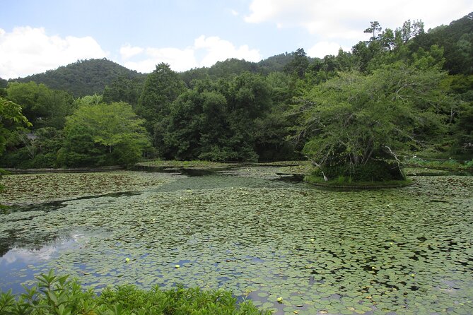 Kyoto ITALIAN GUIDE Golden Pagoda Bamboo Forest Dry Garden - Togetsukyo Bridge and the preserved edge of Kyoto