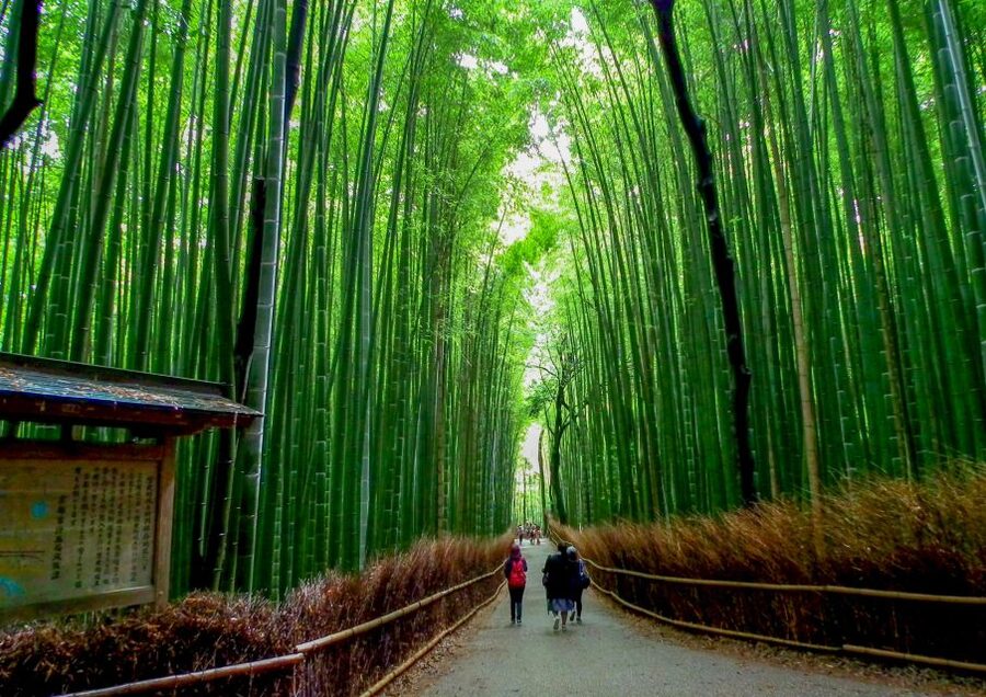 Kyoto: Japanese Gardens Private Customizable Tour - Key points to know before booking