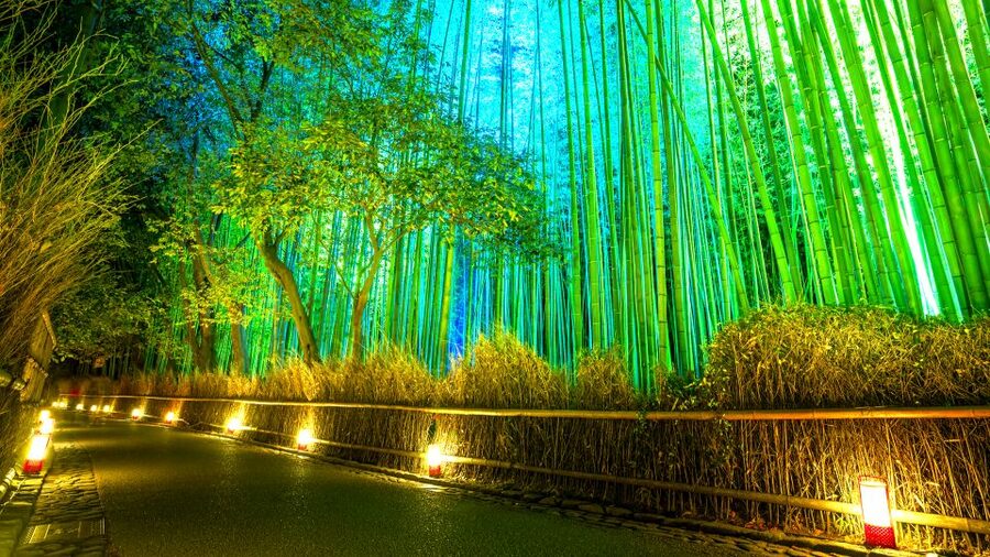 Kyoto: Japanese Gardens Private Customizable Tour - Why Kyoto’s gardens deserve a full morning or afternoon
