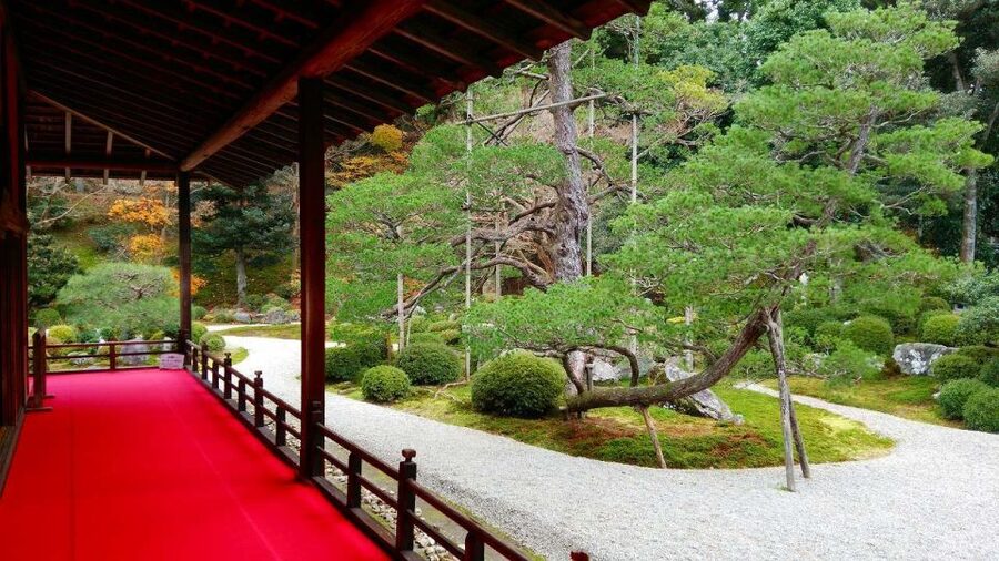 Kyoto: Japanese Gardens Private Customizable Tour - Arashiyama Bamboo Forest and the western hills