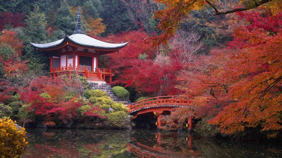 Kyoto: Japanese Gardens Private Customizable Tour - Nanzen-ji and Tofuku-ji for garden variety