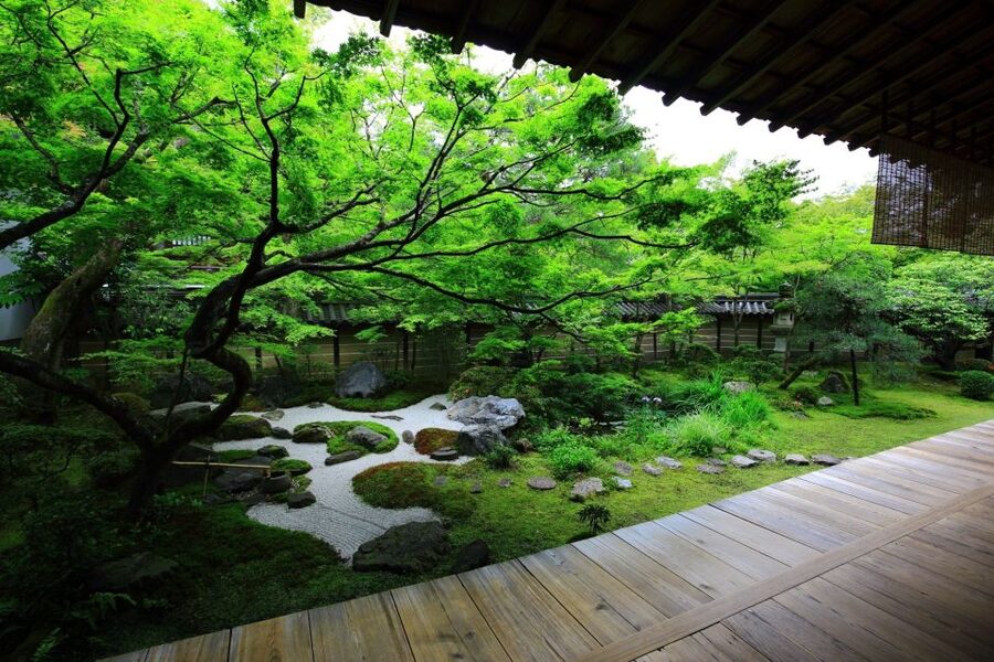 Kyoto: Japanese Gardens Private Customizable Tour - Imperial gardens and the quieter side of Kyoto