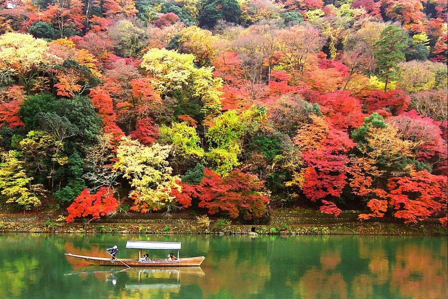 Kyoto: Japanese Gardens Private Customizable Tour - Daitoku-ji and specialty garden choices