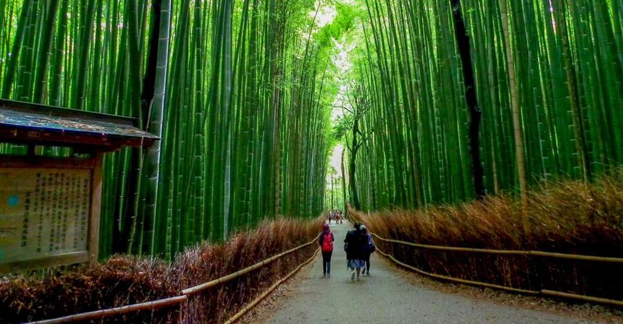 Kyoto: Japanese Gardens Private Customizable Tour - Starting with your guide and shaping the route