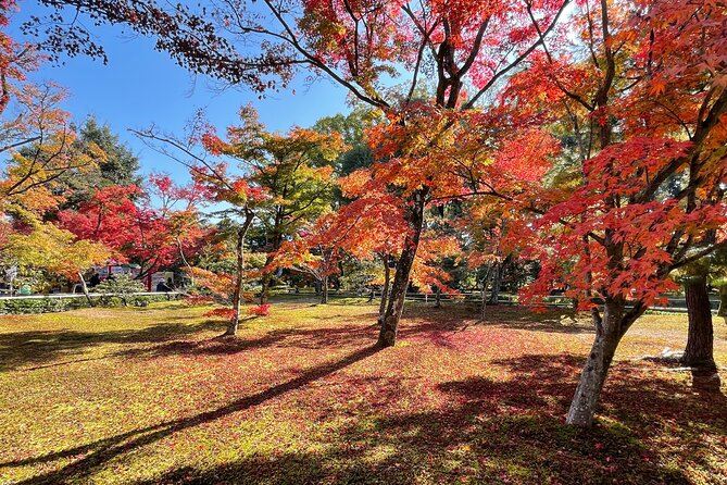 Kyoto: Kinkaku-ji Temple & Serene Garden Guided Tour with Tickets - Ninna-ji: a calmer temple with imperial connections