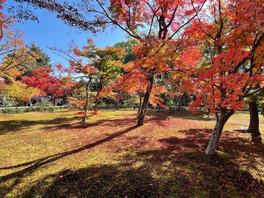 Kyoto: Kinkaku-ji Temple & Serene Garden Tour with Tickets - Why these two Kyoto temples work well together