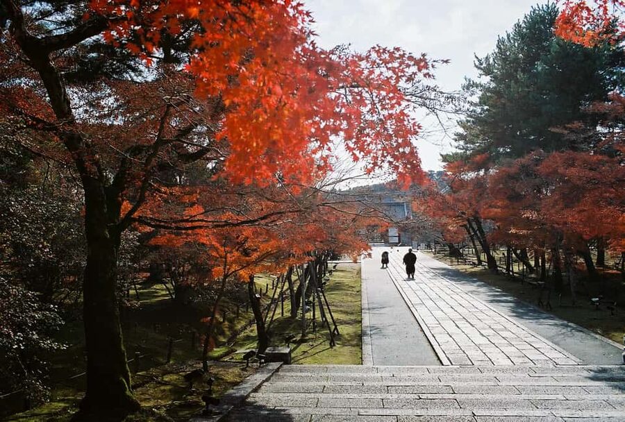 Kyoto: Kinkaku-ji Temple & Serene Garden Tour with Tickets - Ninna-ji and the quieter side of Kyoto