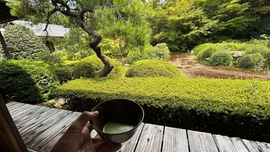 Kyoto: Shakyo & Matcha in Historic Temple Garden - Why this Sennyu-ji experience feels different
