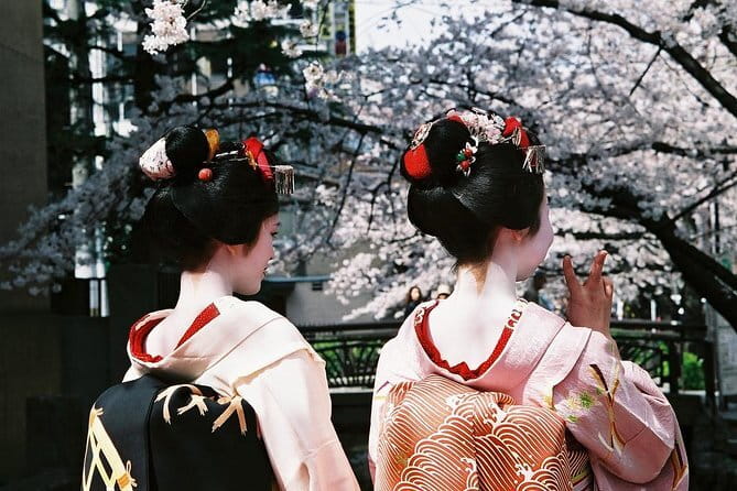 Kyoto Spring Evening (Cherry Blossom) Food Tour - What the $217 Price Really Buys