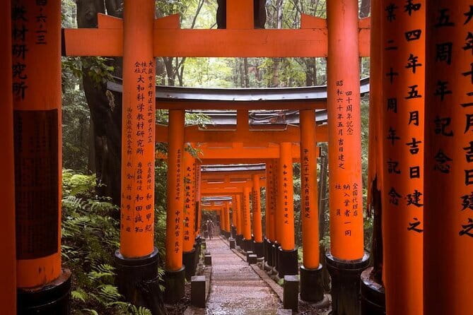 Kyoto Spring Evening (Cherry Blossom) Food Tour - Honmanji Temple, Tadasu no Mori, and Shimogamo Jinja