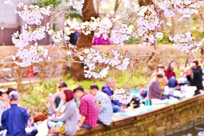 Kyoto Spring Evening (Cherry Blossom) Food Tour - Group Size, Guides, and the Pace of the Evening