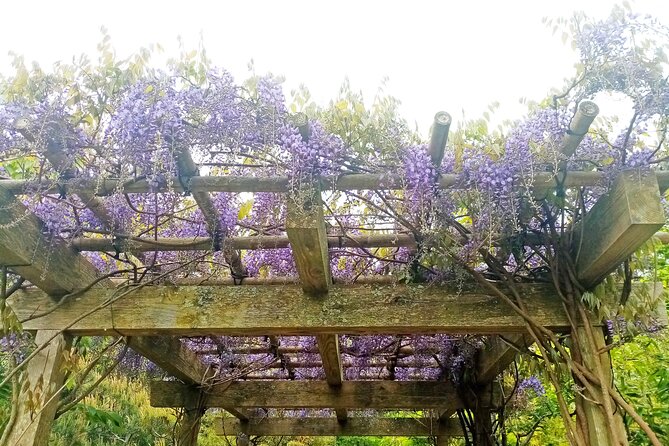Lafcadio Hearn Japanese Gardens Admission Adult Ticket - The café, books, and the best way to linger