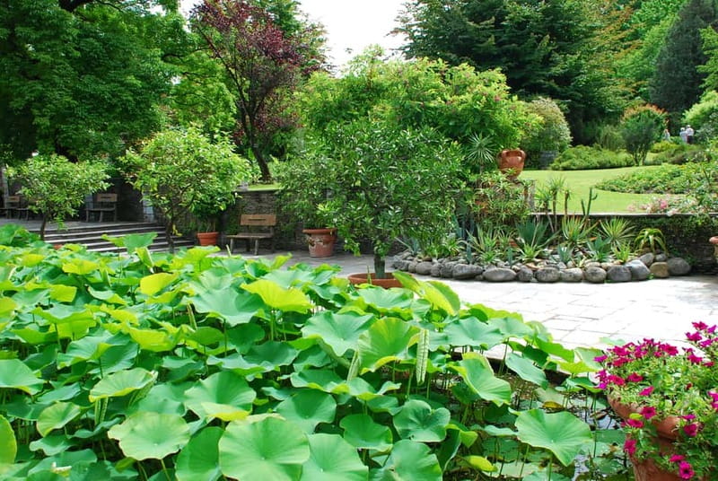 Lake Maggiore Gardens: Botanical Gardens Gourmet Food Cruise - Villa Taranto and its botanical collections