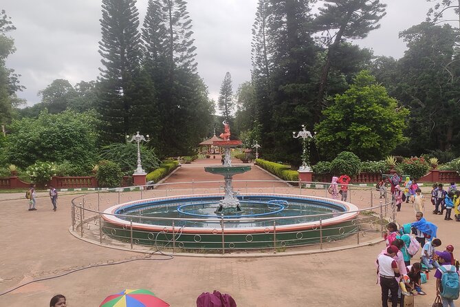 Lalbagh Botanical Garden Early Morning Walk + Breakfast at MTR - Breakfast at Mavalli Tiffin Room