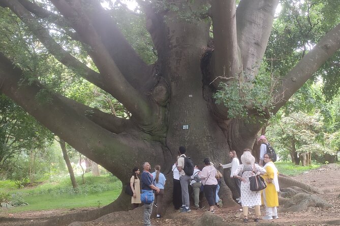 Lalbagh Botanical Garden Early Morning Walk + Breakfast at MTR - Is $39.66 good value?