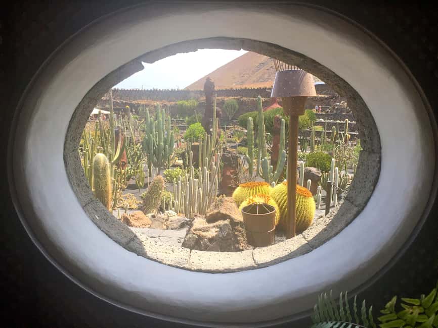 Lanzarote North Premium: Cueva Verdes, Jameos Agua, Mirador, and Cactus Garden - Jameos del Agua: lava turned into a cultural space