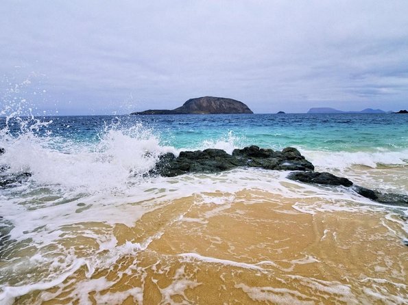 Lanzarote Tour: Lagomar Museum, Cactus Garden & La Graciosa - Key points at a glance
