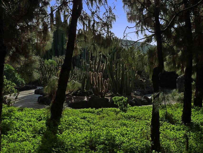 Las Palmas: Botanic Garden Tour (Bandama Caldera Option) - Starting at San Telmo and reaching the garden