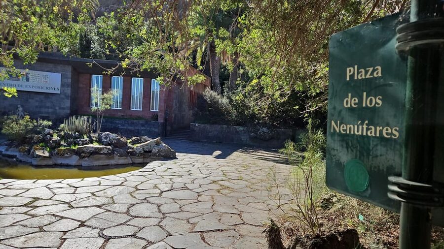 Las Palmas: Botanic Garden Tour (Bandama Caldera Option) - Choosing your finish after the garden