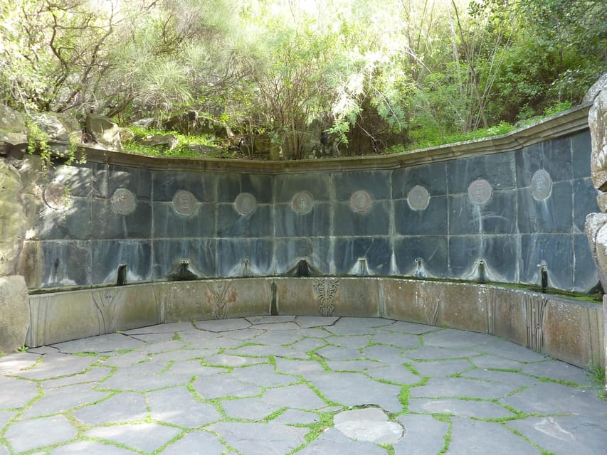 Las Palmas: Botanic Garden Tour (Bandama Caldera Option) - Is the Bandama Volcano extension worth it?