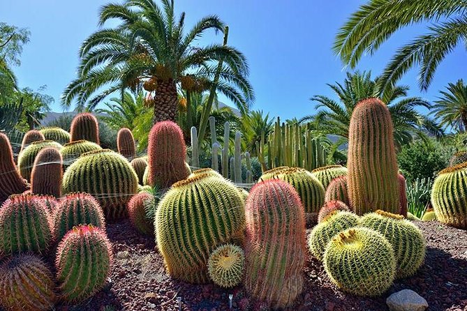 Las Palmas, Botanical Garden & Bandama Crater tour - Gran Canaria - Vegueta gives you history and free choice