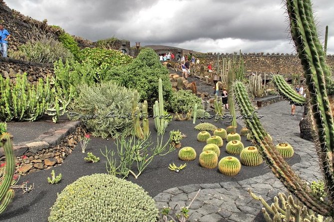Las Palmas, Botanical Garden & Bandama Crater tour - Gran Canaria - The botanical garden needs careful time management