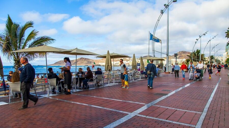 Las Palmas, Botanical Gardens and Bandama Volcano Tour - Key points before you book