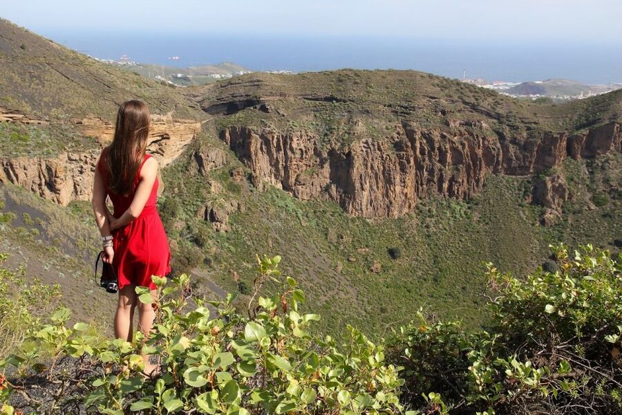 Las Palmas, Botanical Gardens and Bandama Volcano Tour - Bandama Crater in 15 minutes