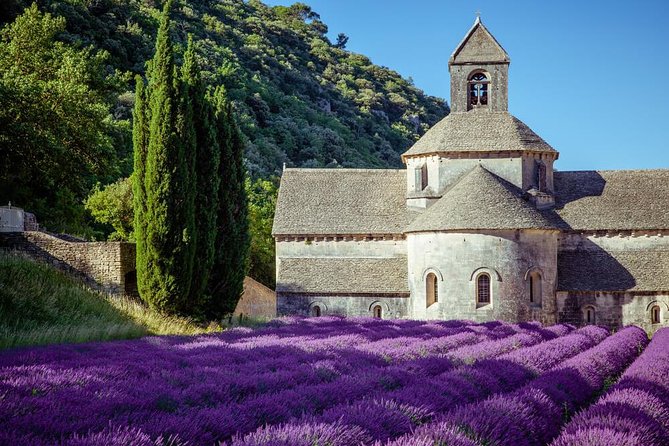 Lavender Beauty Small Group Half Day Tour from Avignon - Key points to know before booking