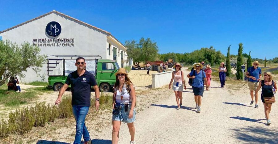 Lavender Field & Distillery Tour between Nimes & Arles - Around the still: where flowers become oil