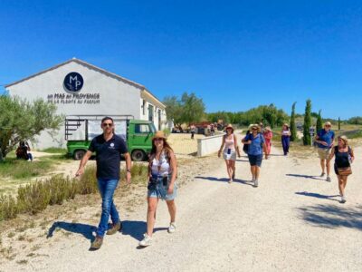 Lavender Field & Distillery Tour between Nimes & Arles