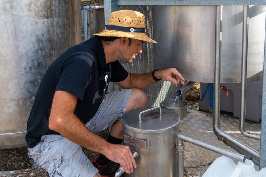 Lavender Field & Distillery Tour between Nimes & Arles - Guides who make a short tour work
