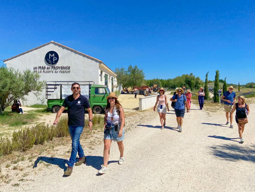 Lavender Field & Distillery Tour between Nimes & Arles - The plant walk: touch first, then identify