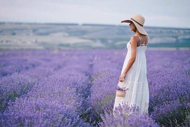 Lavender Fields Full Day Private Tour From Marseille - Key points to know before booking