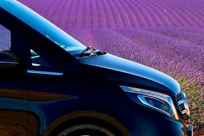 Lavender Fields Full Day Private Tour From Marseille - Lake Sainte-Croix and the Verdon Canyon viewpoints