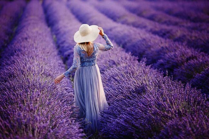Lavender Fields Full Day Private Tour From Marseille - The Valensole Plateau and its mid-summer purple