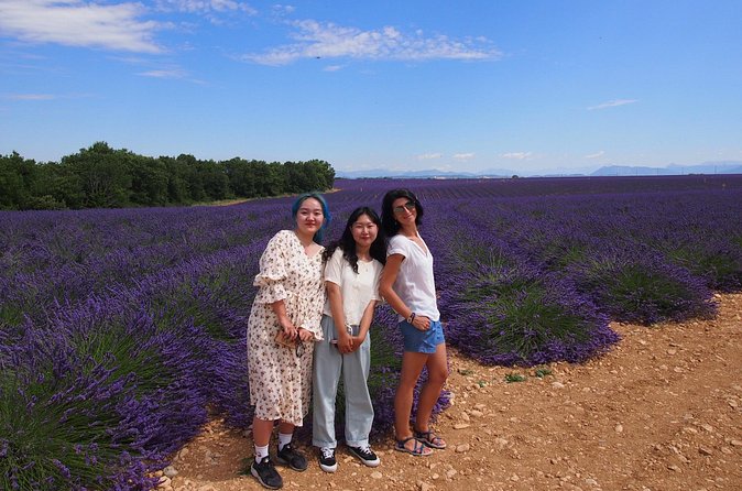 Lavender Fields Tour in Valensole from Marseille - Who should book this Marseille lavender trip