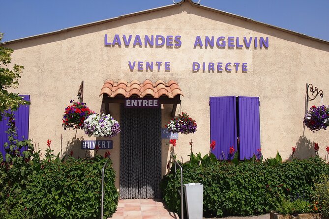 Lavender Fields Tour in Valensole from Marseille - Plateau de Valensole: the main event