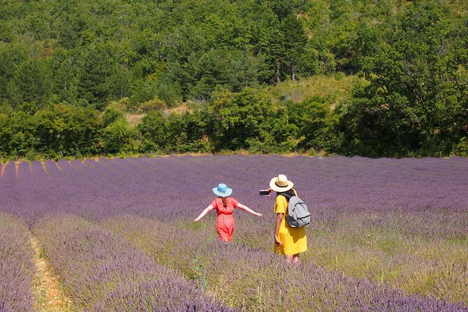 Lavender Full-day Tour in Sault From AIX-EN-PROVENCE - Key points to know before booking