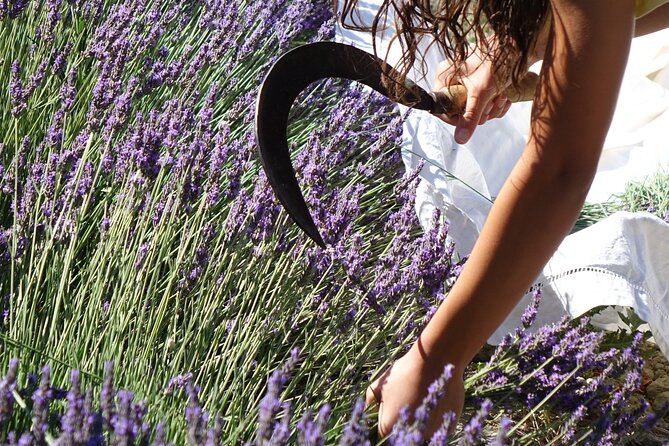 Lavender Harvesting and Distillation Workshop in Bellegarde - Filling your bottles with floral water and oil