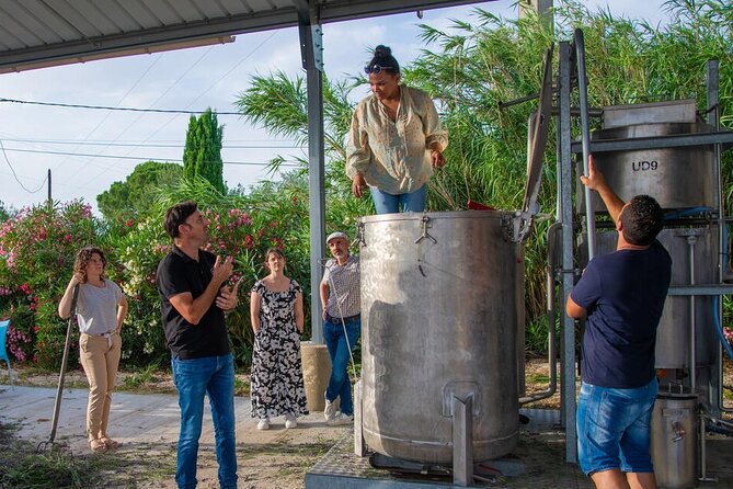 Lavender Harvesting and Distillation Workshop in Bellegarde - What the $36.01 price gets you
