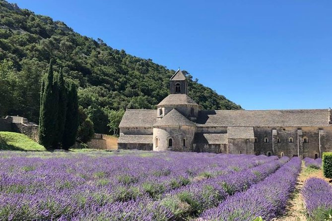 Lavender in Bloom : Unforgettable Provençal Stroll - Walking Through Valensole Village