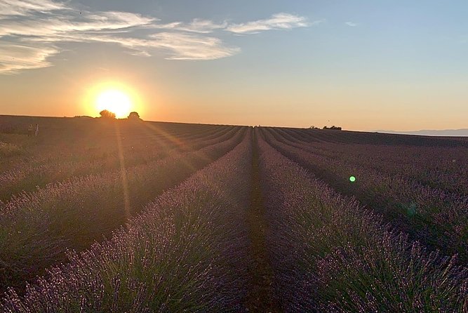 Lavender in Bloom : Unforgettable Provençal Stroll - Guides, Flexibility, and Personal Service